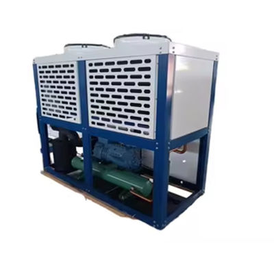 Bitzer Kutusu Tipi Dondurucu Oda hava soğutmalı Kondensasyon Birimi Güçlü Galvanizli Çelik Küresi r22/r404a/r407f