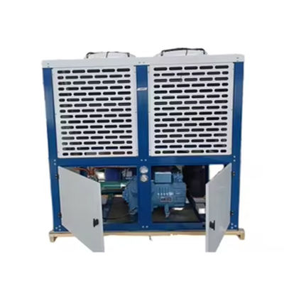 Bitzer Kutusu Tipi Dondurucu Oda hava soğutmalı Kondensasyon Birimi Güçlü Galvanizli Çelik Küresi r22/r404a/r407f