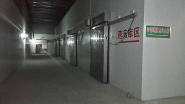 PU Sandwich Panel Prefabrik Soğuk Oda Ön Soğutma Kapı Tipi Seksiyonel